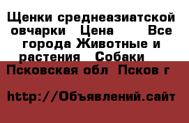 Щенки среднеазиатской овчарки › Цена ­ 1 - Все города Животные и растения » Собаки   . Псковская обл.,Псков г.